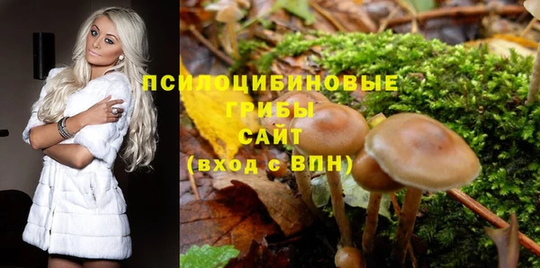 не бодяженный Осташков