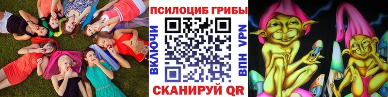купить   Красный Кут  Галлюциногенные грибы ЛСД 